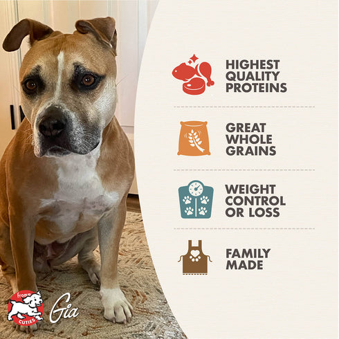 Fromm Gold Large Breed Weight Management Dry Dog Food - Turkey & Chicken -  15lb Bag